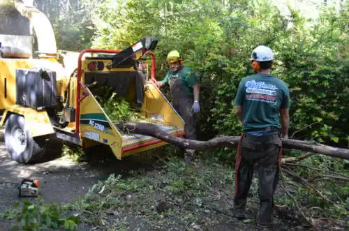 tree services Walnut Ridge